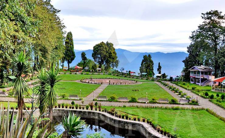 Shrubbery Nightingale Park Darjeeling In Hindi