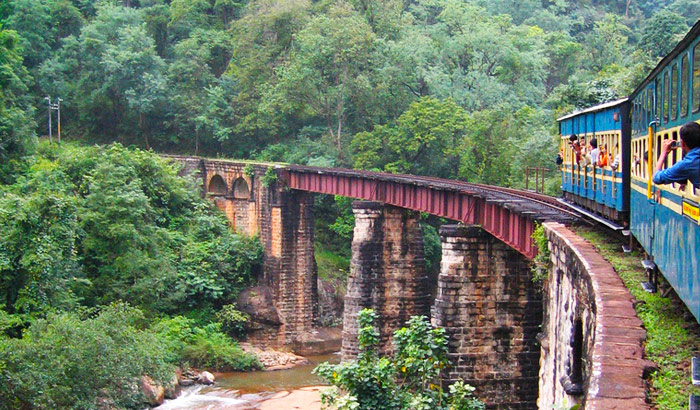 Ooty Me Ghumne Ki Jagah Nilgiri Mountains Railway