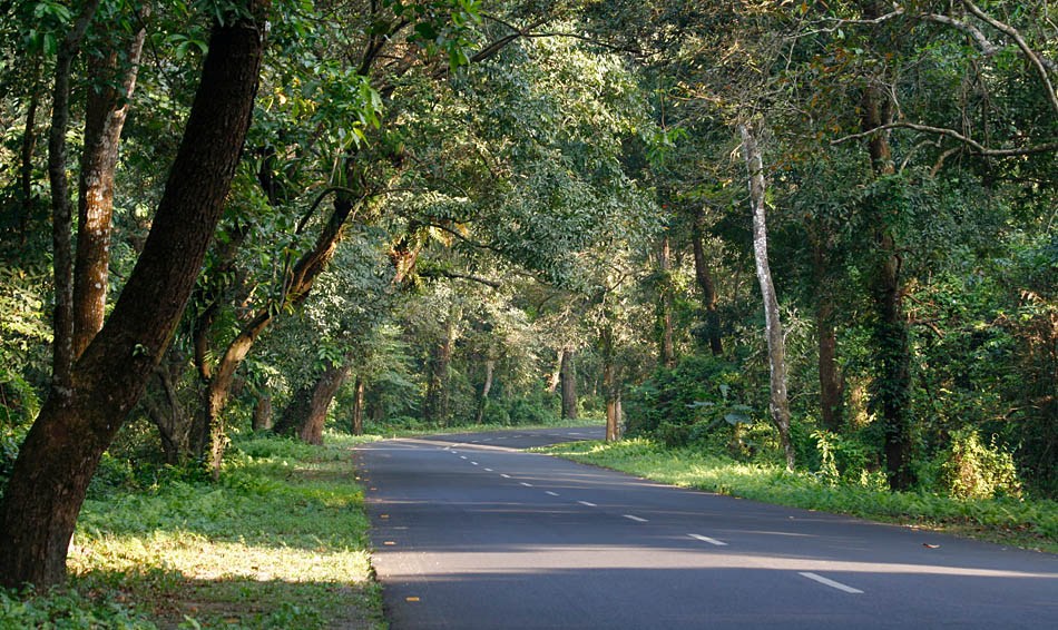 JALDAPARA NATIONAL PARK tourist places in west Bengal