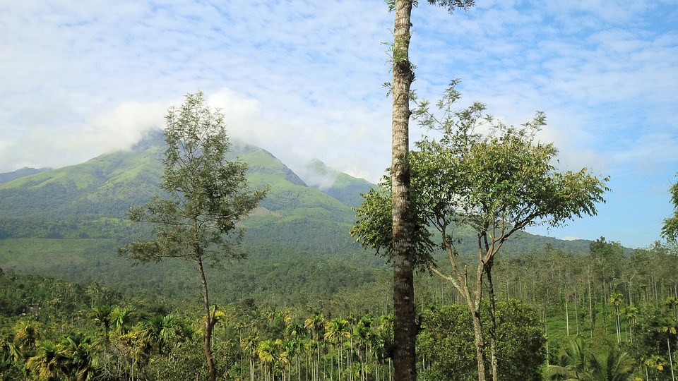 Green Wayanad in Kerala Tourism