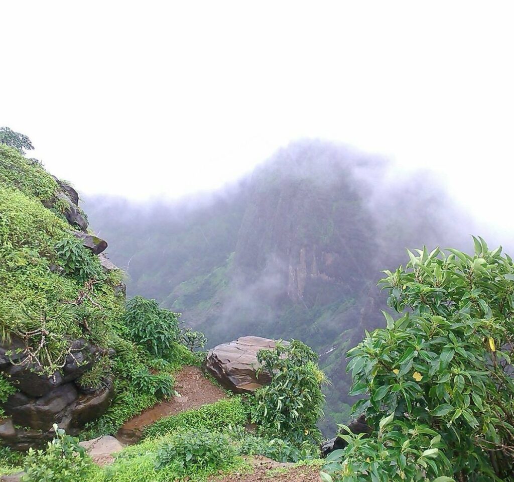 Western Ghats Best Place To Visit In Pune In Hindi