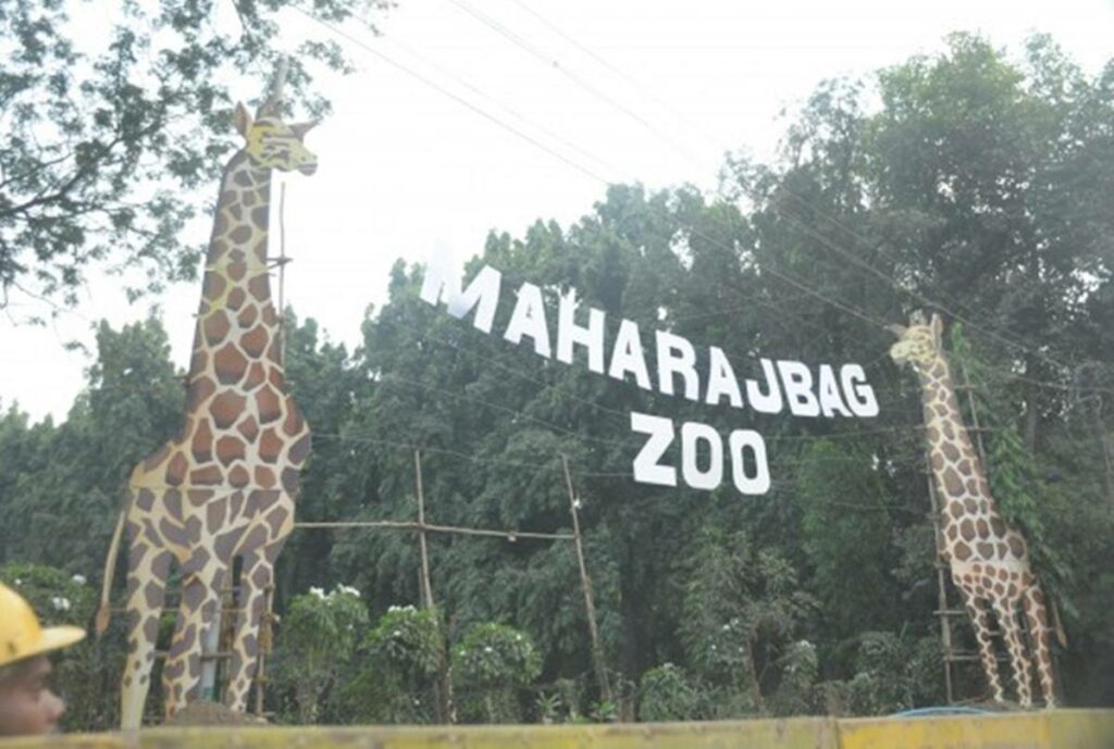 Maharaj Bagh And Zoo In Nagpur Tourism