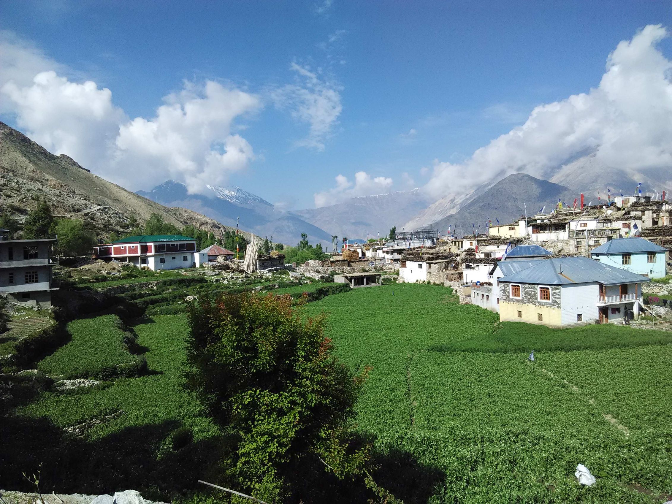 Nako Village Kinnaur Himachal Pradesh Tourism