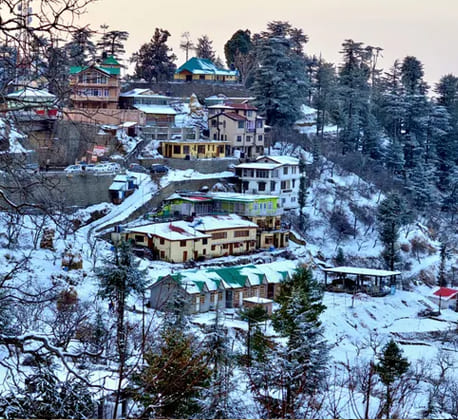 Kasauli Tourism In Hindi