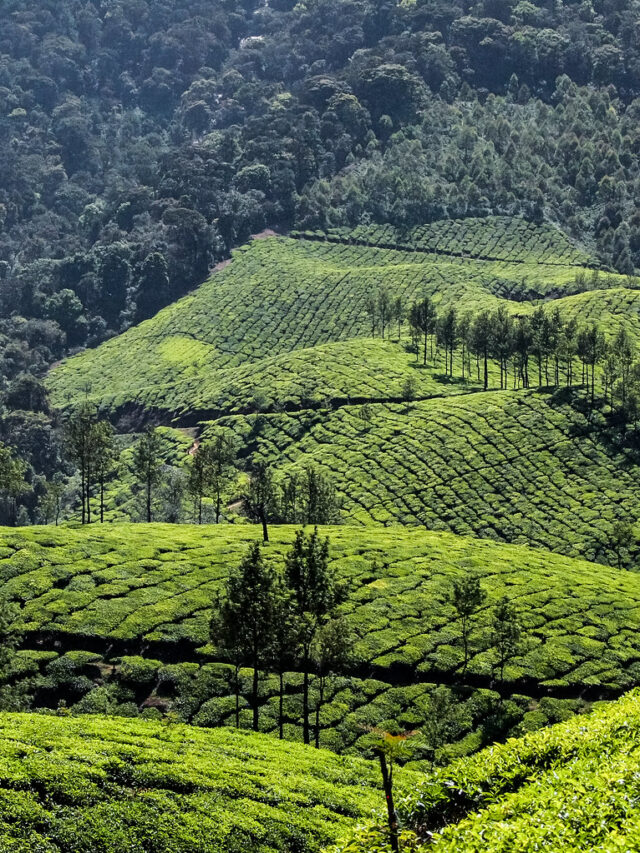 Tourist place In Ooty