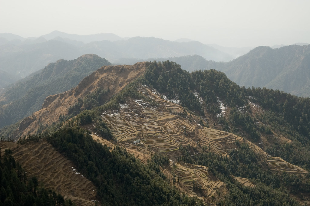 Dhanaulti Mussoorie in Hindi