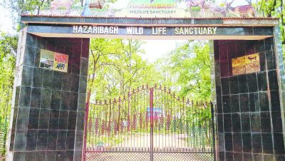 Hazaribagh Wildlife Sanctuary Jharkhand in Hindi