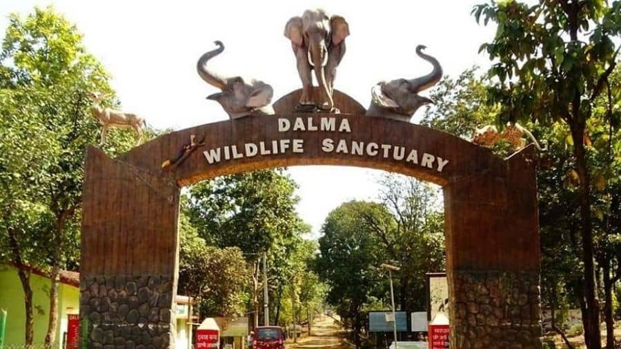 Dalma Wildlife Sanctuary