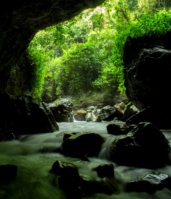 Guchhupani Dehradun In Hindi - रॉबर केव देहरादून 