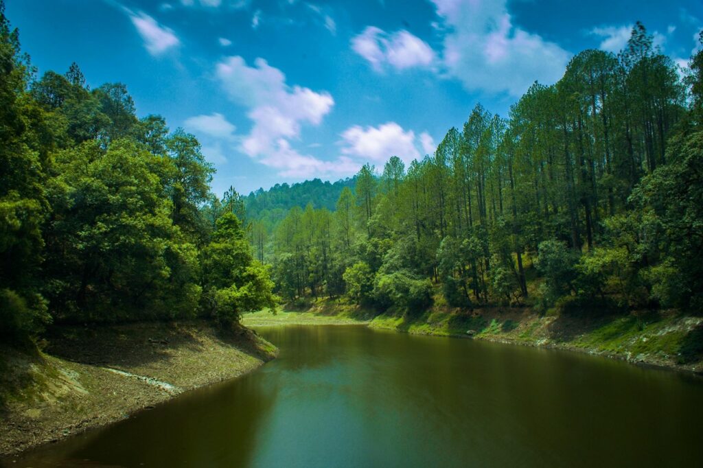 Bhalu Dam Ranikhet in Hindi