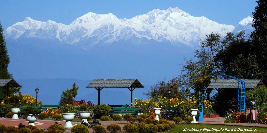 Shrubbery Nightingale Park Darjeeling In Hindi