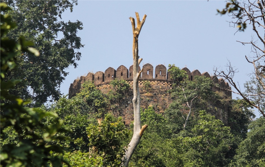 Nawagarh Fort Jharkhand in Hindi